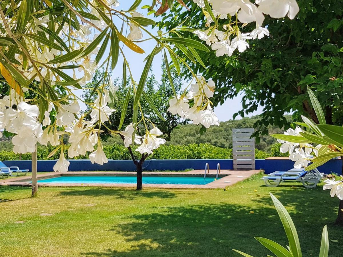 Monte Das Aranhas Estremoz Exteriör bild